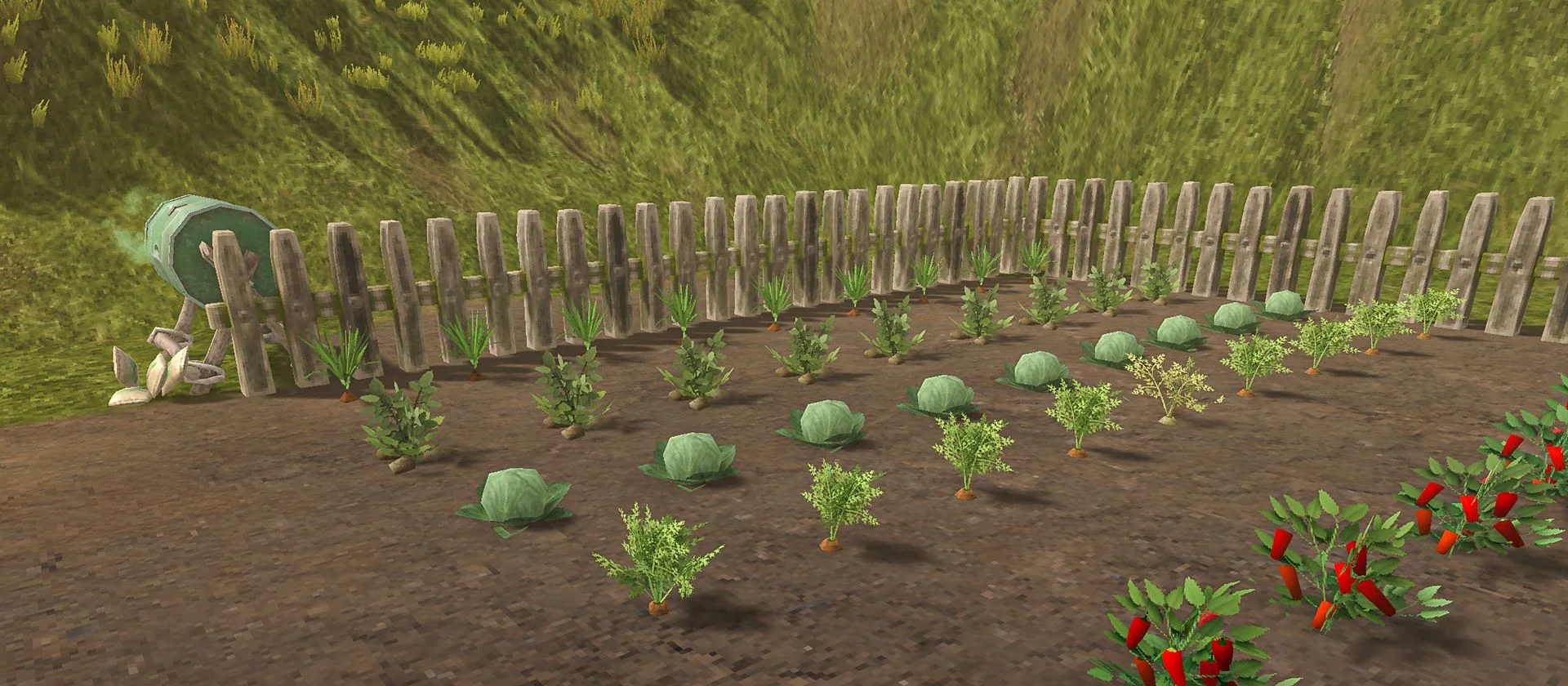 A neat garden row showing all six crops growing side by side at the Adult Plant stage.